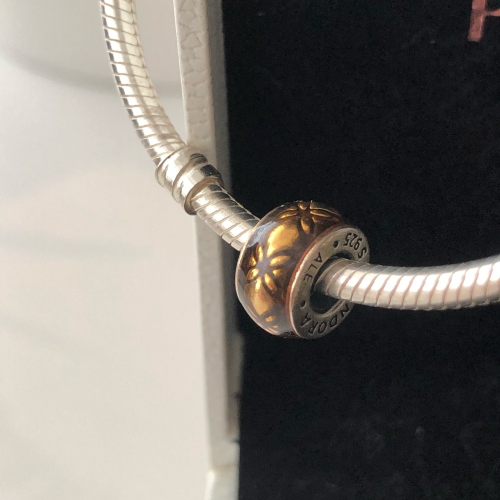 Pandora Charm/ Bead